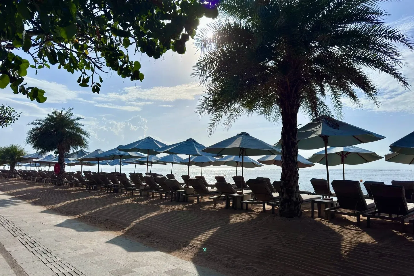 A long row of umbrellas and loungers on the beach in front of the resort, shaded by palms