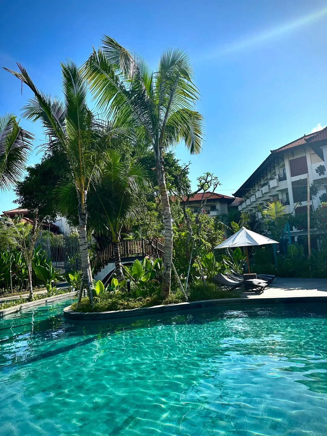 A turquoise family pool with a palm-planted island