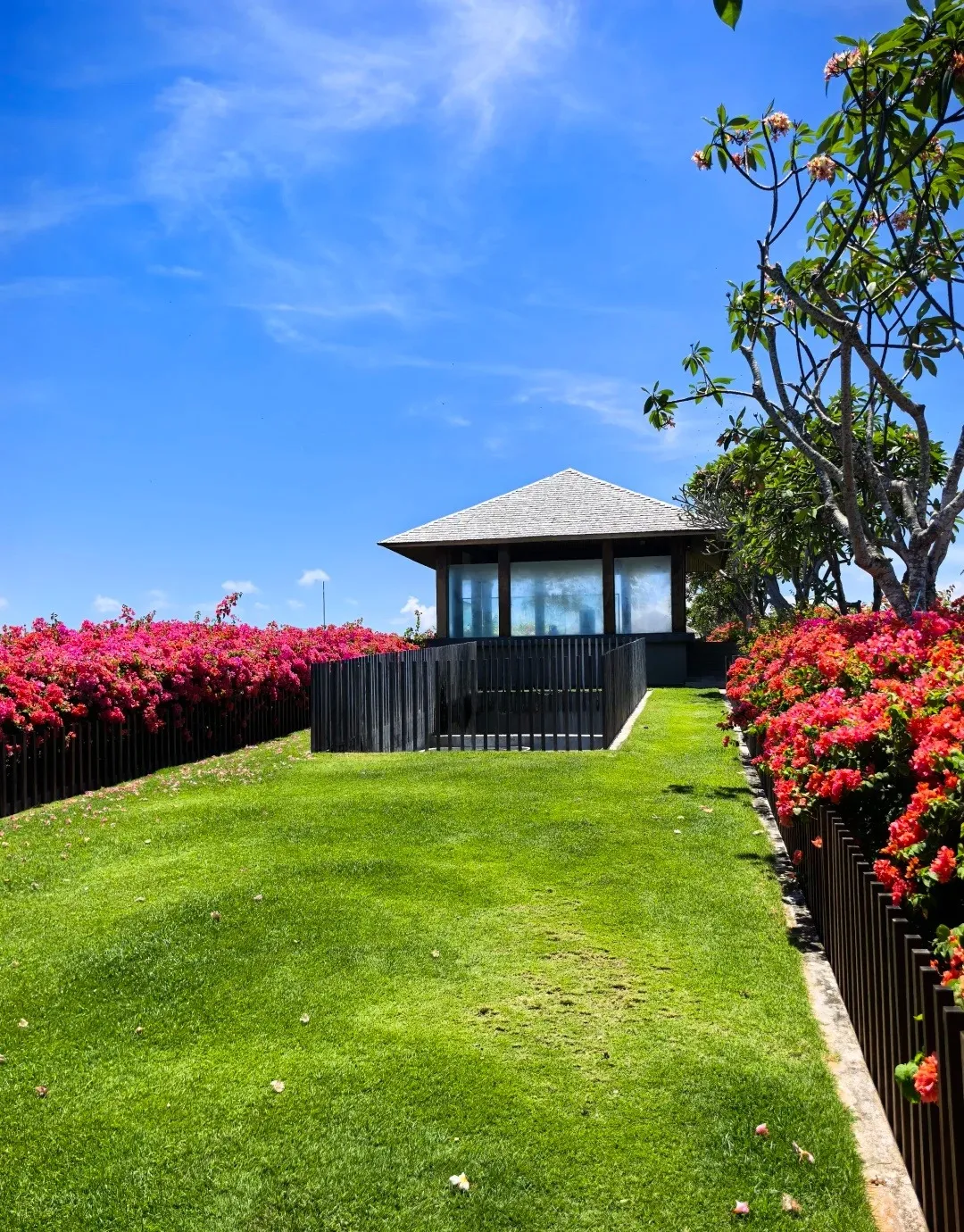 A strip of lawn lined with bougainvillea, leading to a small pavilion