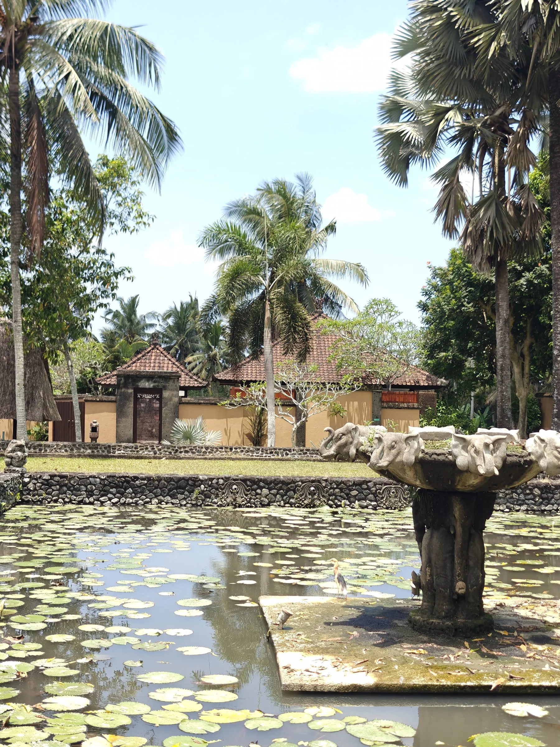 A lotus pond with a carved stone fountain, with palms and tiled pavilion roofs behind