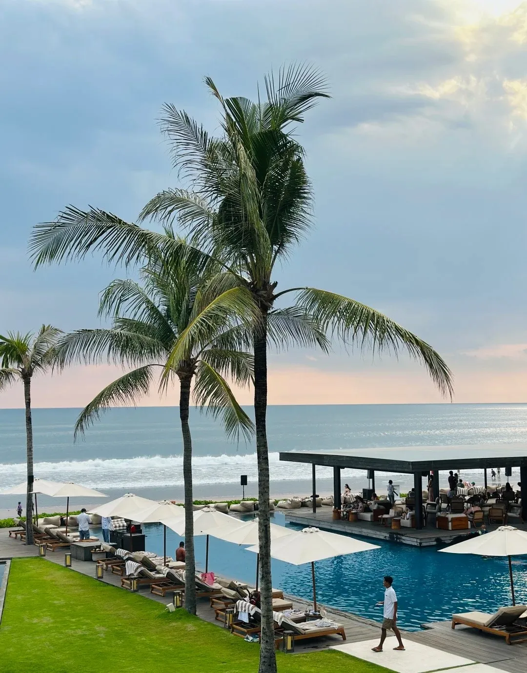 Coconut palms on a lawn above the pool, the beach pavilion and the sea
