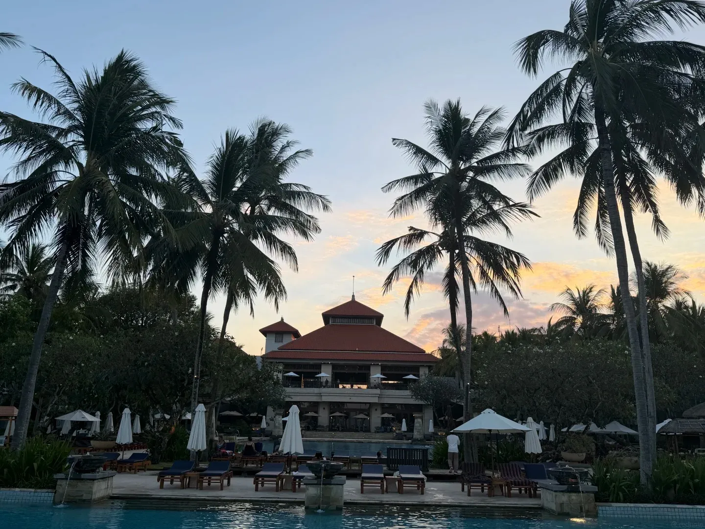 Coconut palms over the pool and a pavilion at sunset