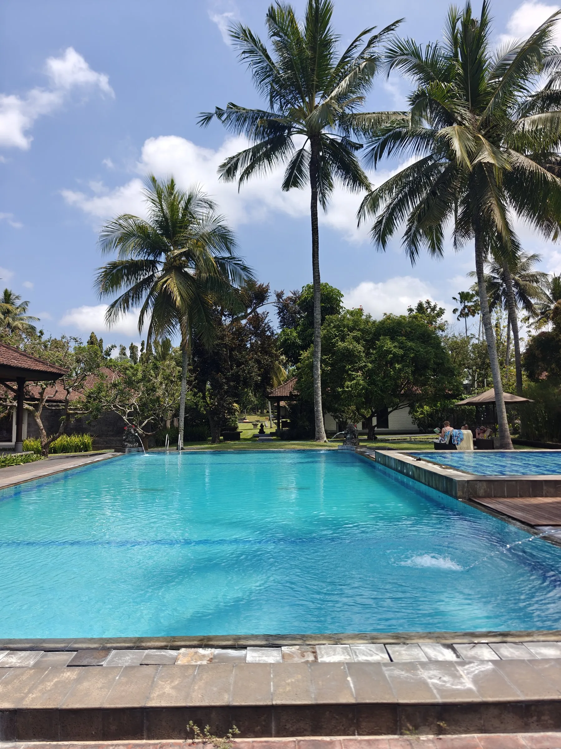 The main pool under tall coconut palms, with thatched pavilions around the garden