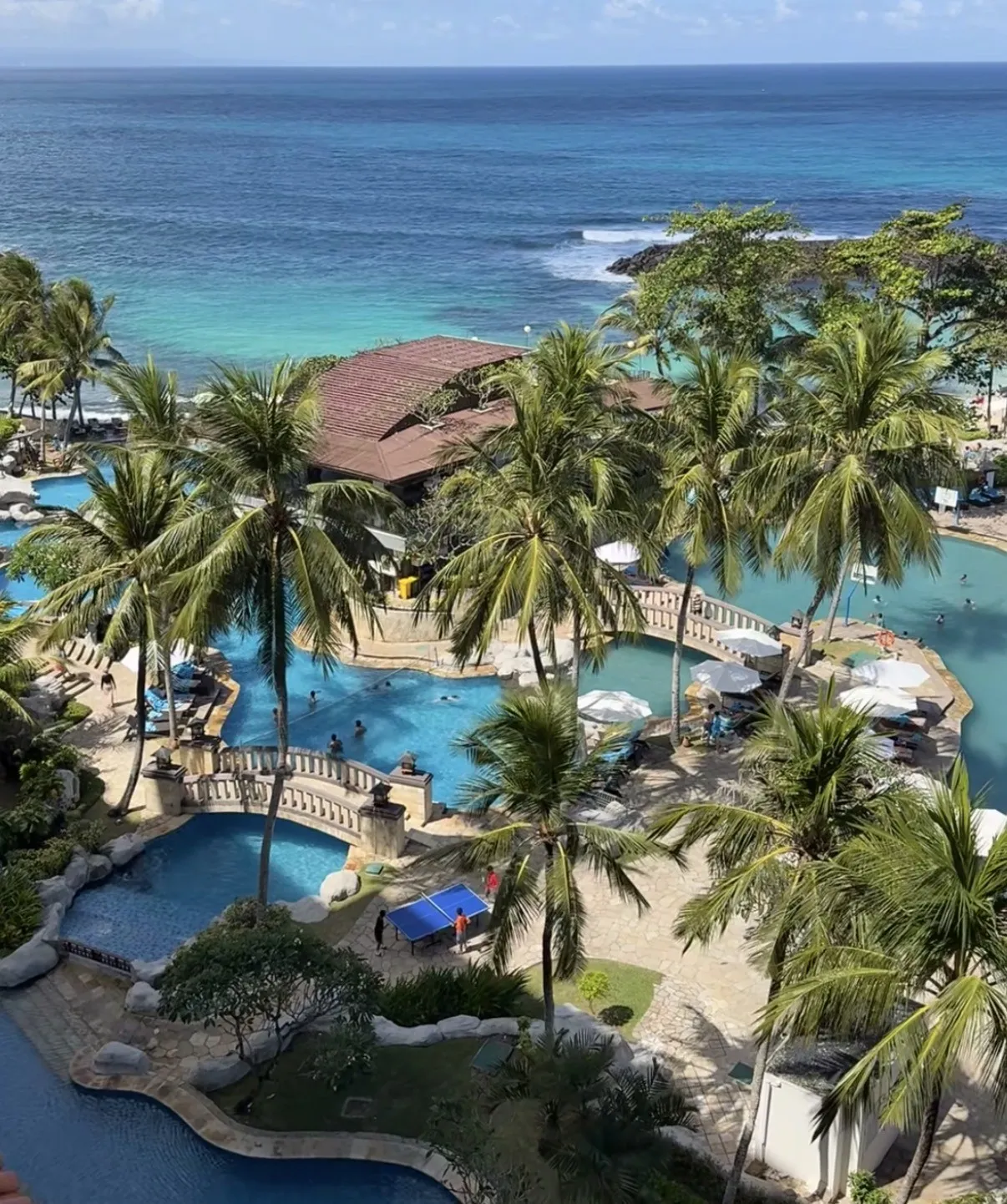 The linked pools, stone bridges and palm trees seen from above, with the sea behind