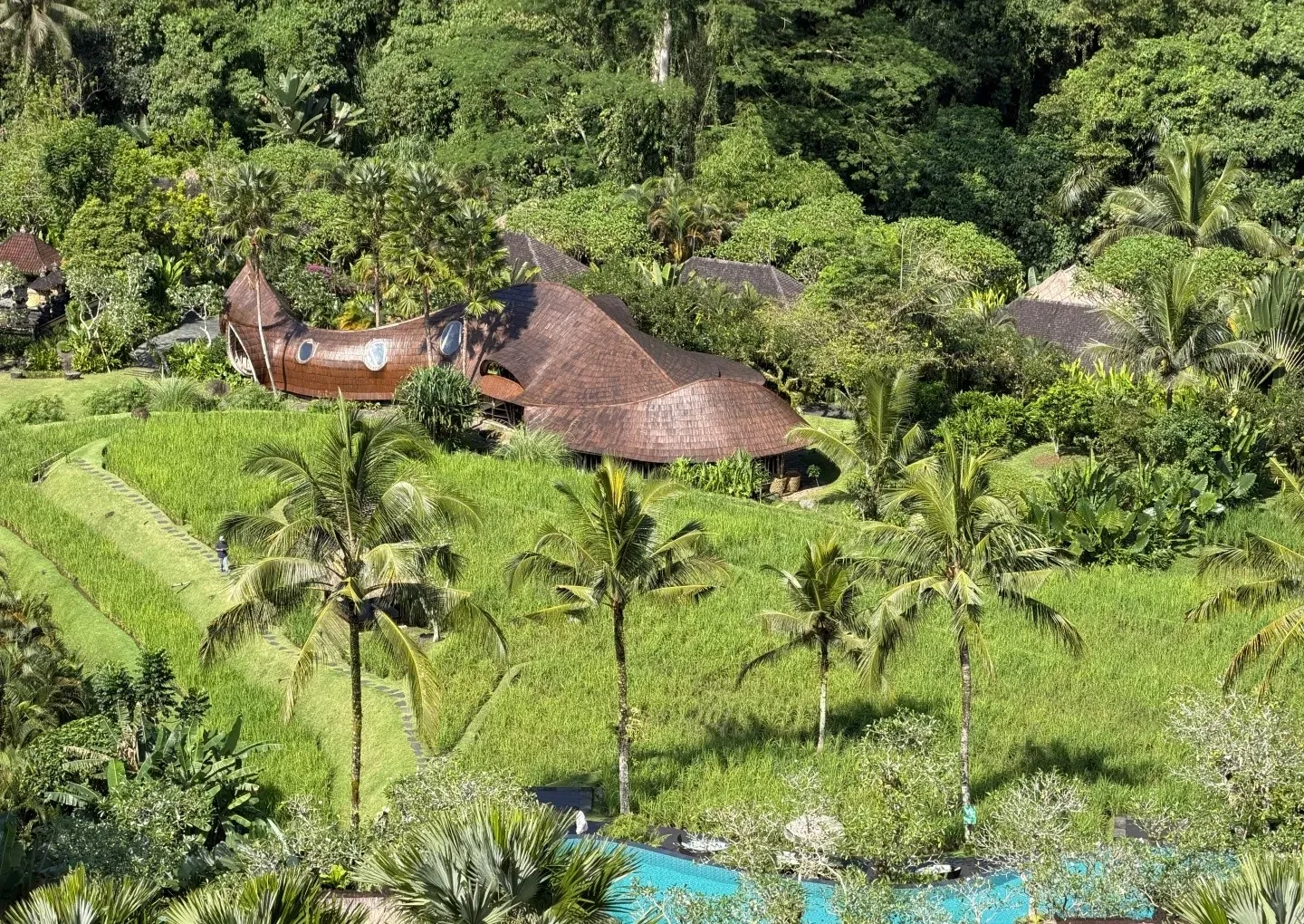 Rice terraces and palms stepping down the valley to the pool and thatched roofs below