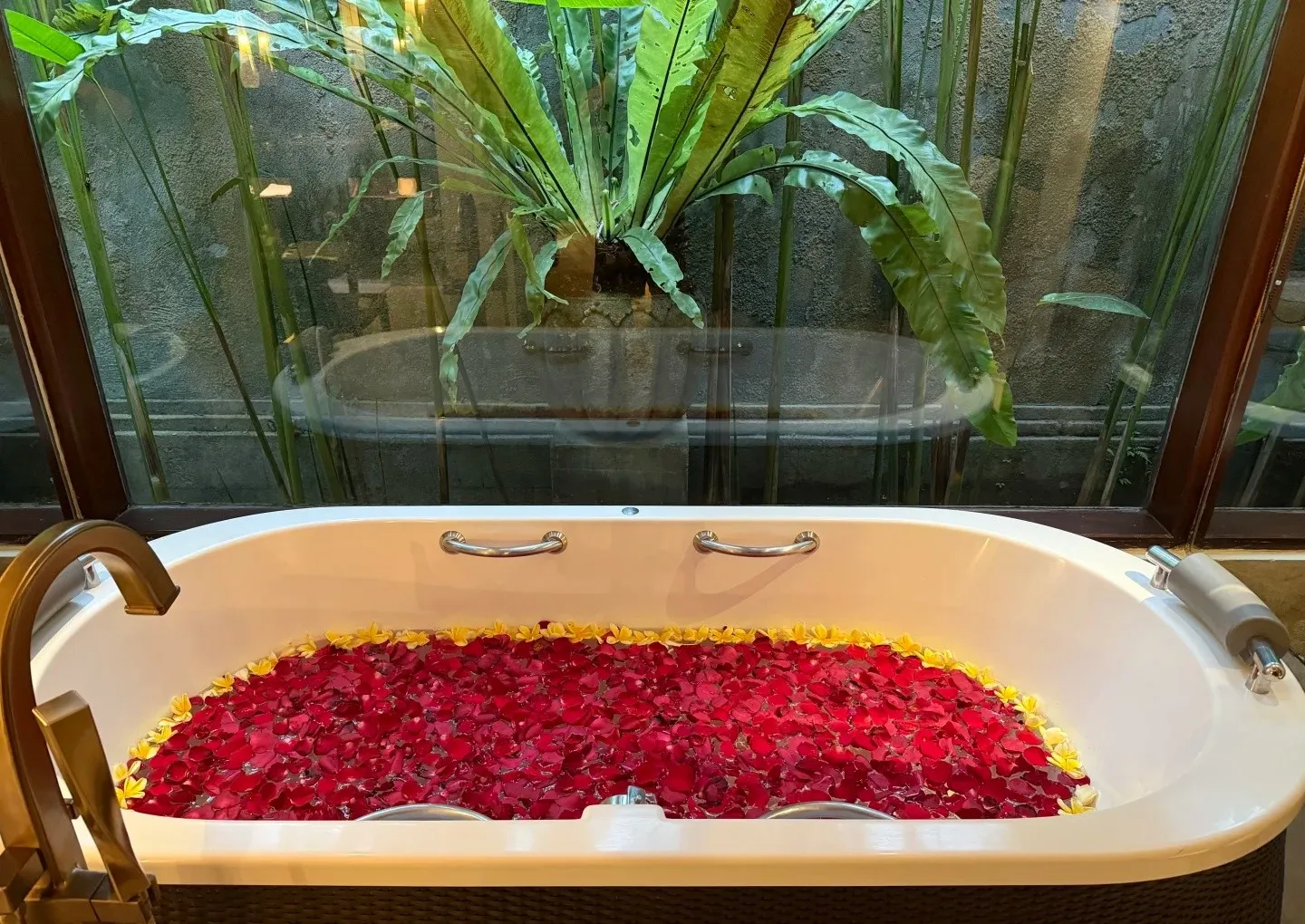 A bathtub filled with red rose petals, under a window full of tropical plants