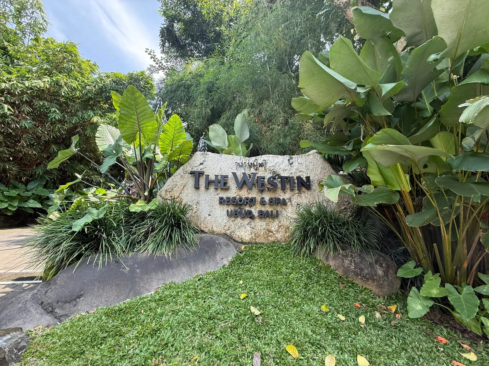 The Westin Resort & Spa Ubud sign on a boulder among big tropical leaves at the entrance