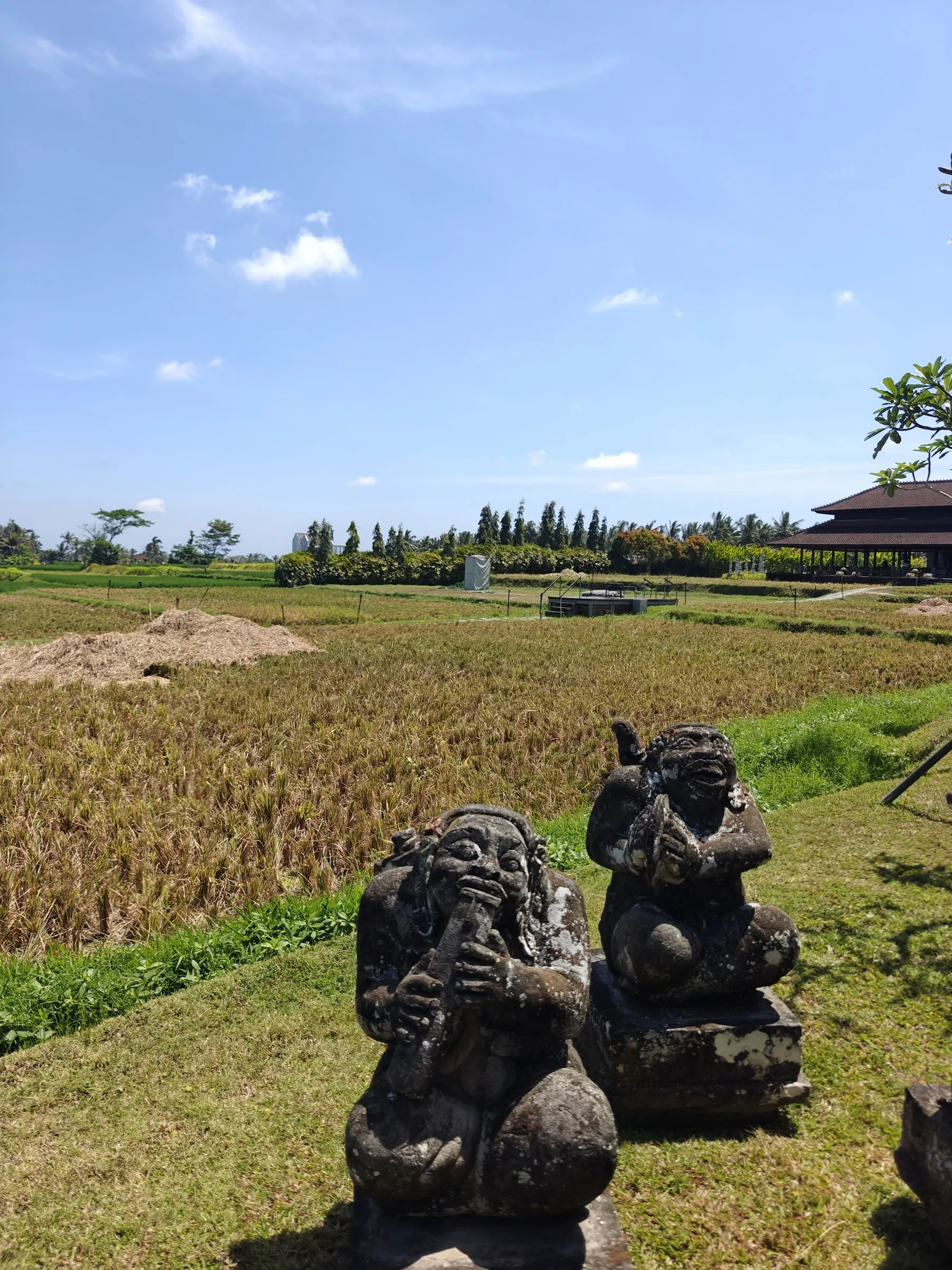 Two carved stone figures on the lawn at the edge of the rice paddies