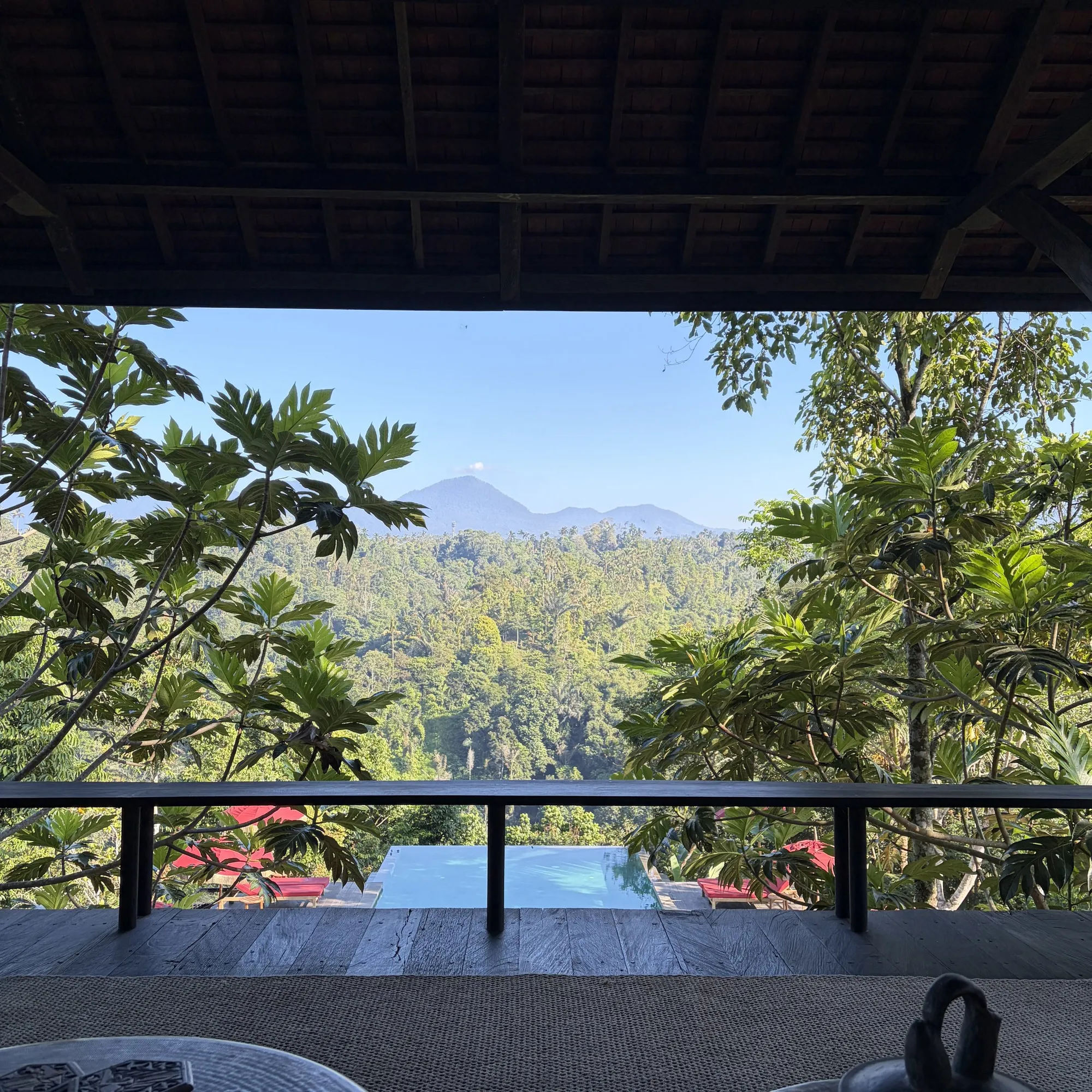 Looking out from under a villa roof across the jungle valley to a volcano, with the infinity pool below