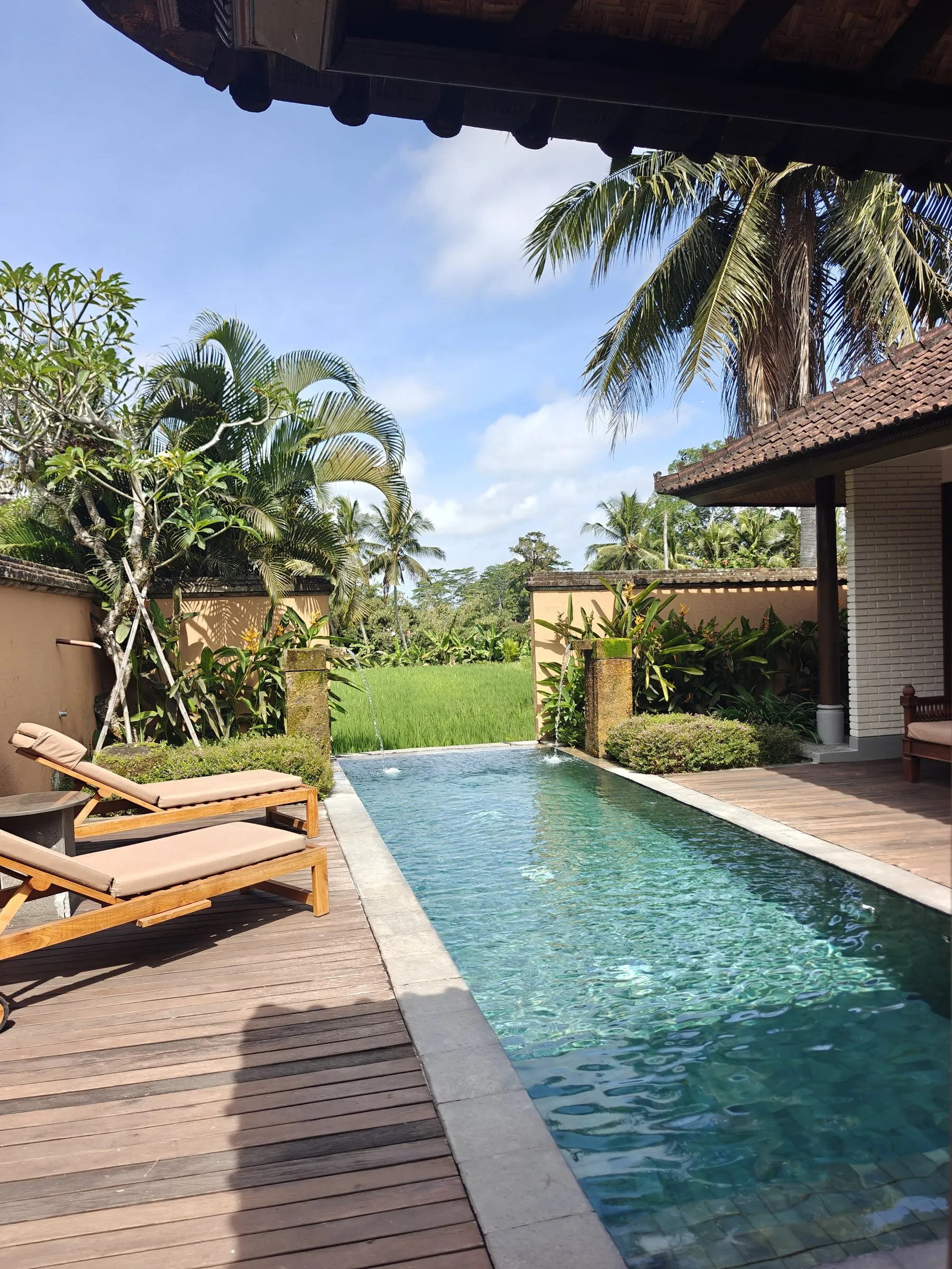 A long private pool beside a timber deck and loungers, running out to the rice paddy behind the villa walls
