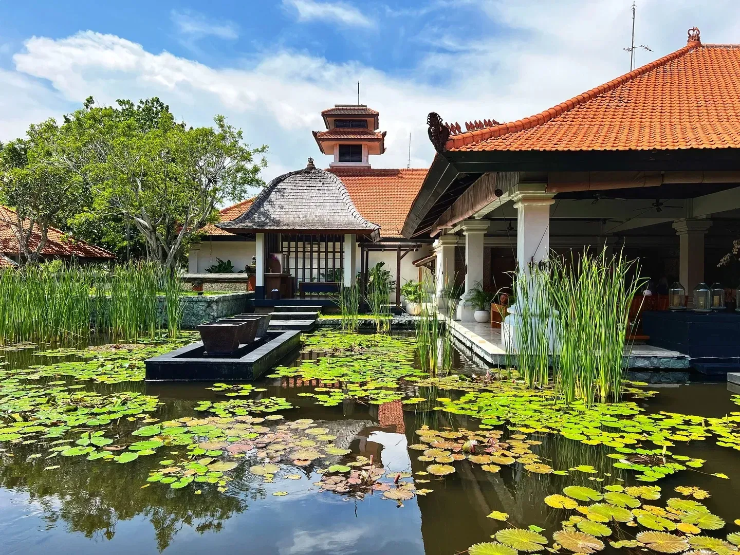 Lily ponds and reeds in front of the Balinese-style lobby pavilions